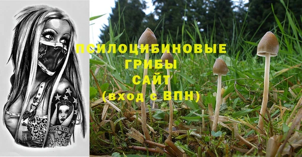 крисы Володарск