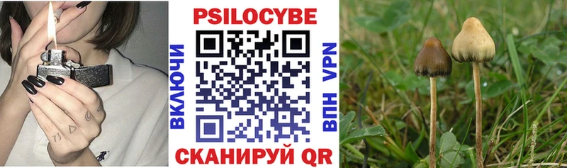 Купить Осинники Галлюциногенные грибы Magic Shrooms